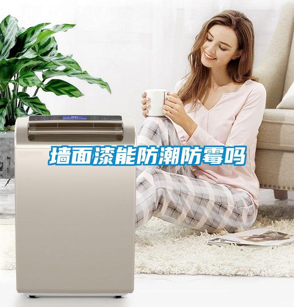 墻面漆能防潮防霉嗎