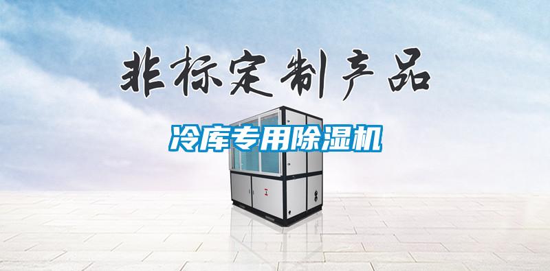 冷庫(kù)專用除濕機(jī)