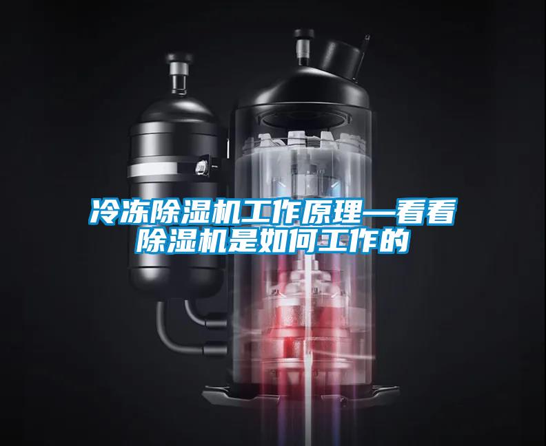 冷凍除濕機工作原理—看看除濕機是如何工作的