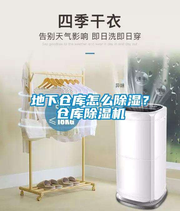 地下倉庫怎么除濕？倉庫除濕機(jī)
