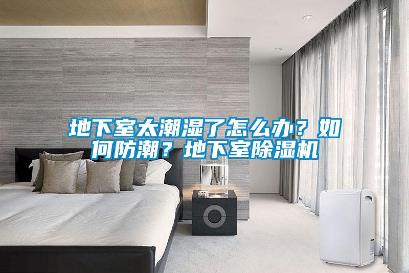 地下室太潮濕了怎么辦？如何防潮？地下室除濕機(jī)