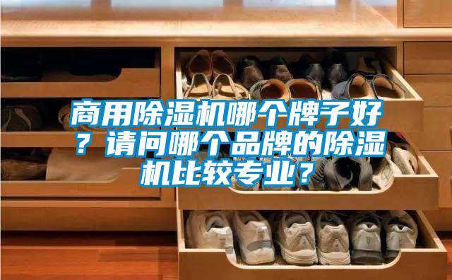 商用除濕機哪個牌子好？請問哪個品牌的除濕機比較專業(yè)？