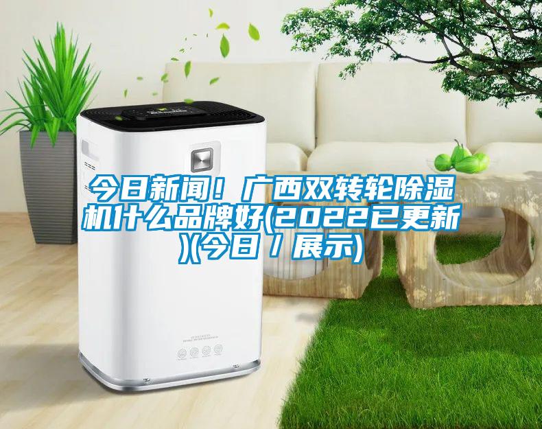 今日新聞！廣西雙轉(zhuǎn)輪除濕機(jī)什么品牌好(2022已更新)(今日／展示)