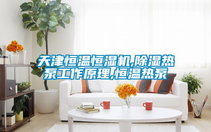 天津恒溫恒濕機(jī),除濕熱泵工作原理,恒溫?zé)岜?/></p>
<p style=