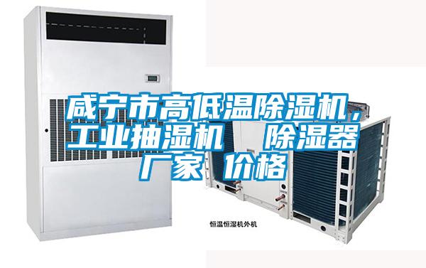 咸寧市高低溫除濕機，工業(yè)抽濕機  除濕器廠家 價格