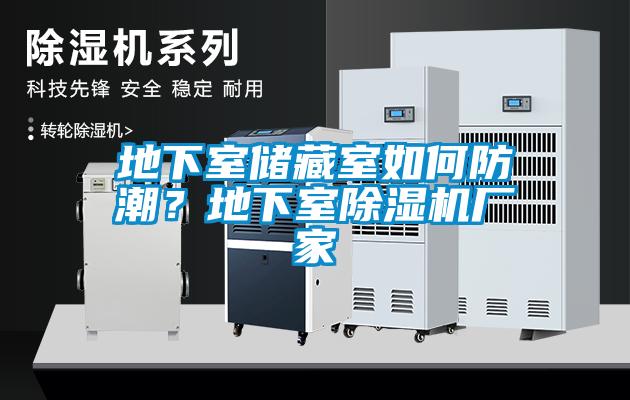 地下室儲(chǔ)藏室如何防潮？地下室除濕機(jī)廠家