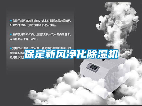 保定新風(fēng)凈化除濕機