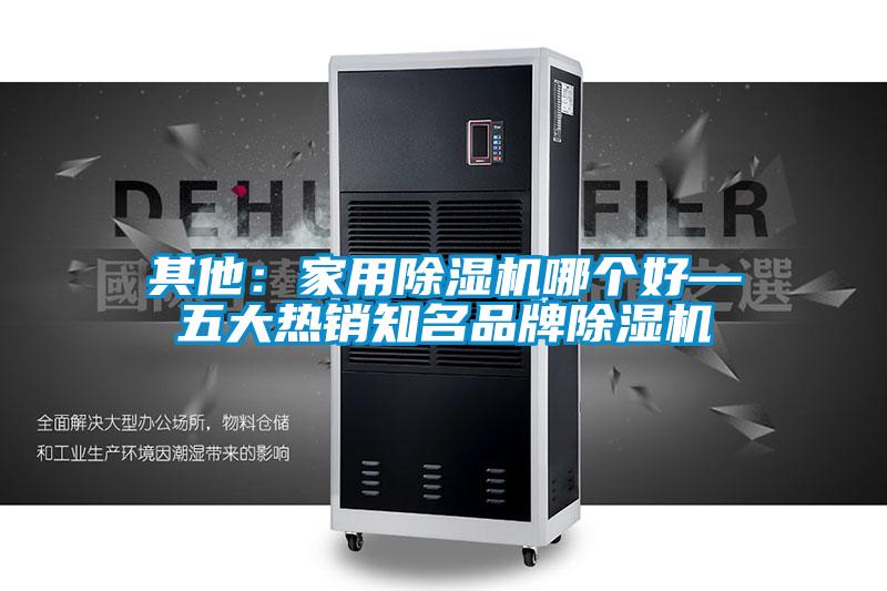 其他：家用除濕機(jī)哪個(gè)好—五大熱銷知名品牌除濕機(jī)
