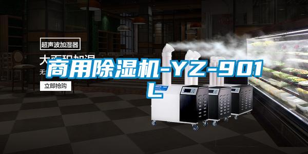 商用除濕機(jī)-YZ-901L