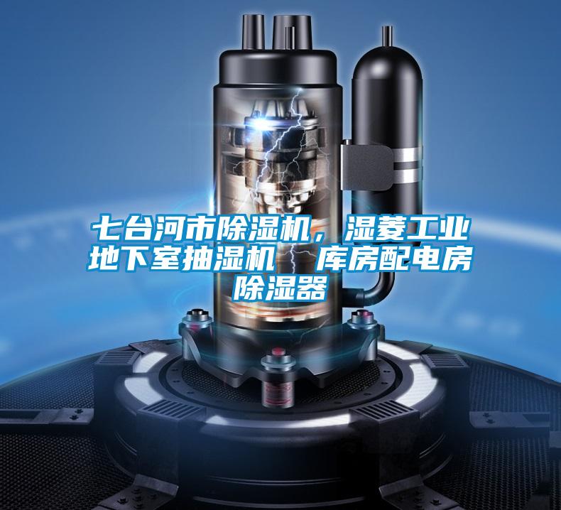 七臺(tái)河市除濕機(jī)，濕菱工業(yè)地下室抽濕機(jī)  庫(kù)房配電房除濕器