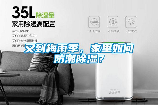 又到梅雨季，家里如何防潮除濕？