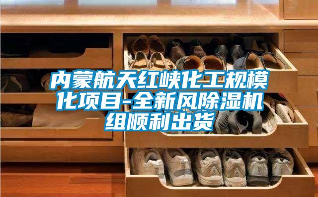 內(nèi)蒙航天紅峽化工規(guī)?；?xiàng)目-全新風(fēng)除濕機(jī)組順利出貨