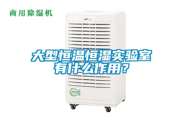 大型恒溫恒濕實(shí)驗(yàn)室有什么作用？