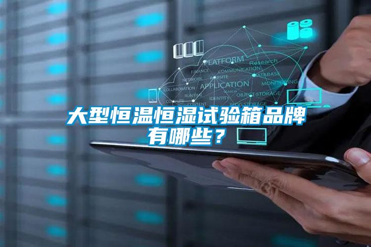 大型恒溫恒濕試驗(yàn)箱品牌有哪些？