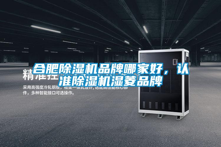 合肥除濕機品牌哪家好，認準除濕機濕菱品牌