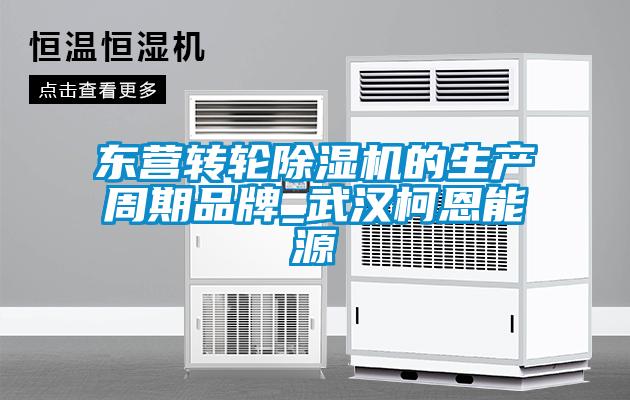東營轉輪除濕機的生產(chǎn)周期品牌_武漢柯恩能源