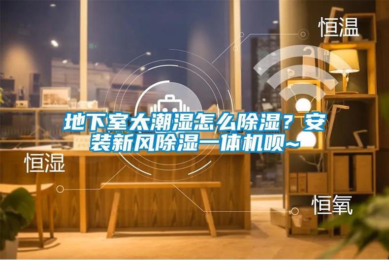 地下室太潮濕怎么除濕？安裝新風(fēng)除濕一體機(jī)唄~