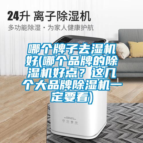 哪個(gè)牌子去濕機(jī)好(哪個(gè)品牌的除濕機(jī)好點(diǎn)？這幾個(gè)大品牌除濕機(jī)一定要看)