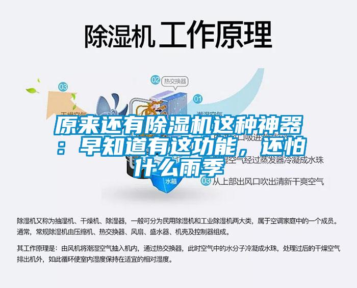 原來還有除濕機這種神器：早知道有這功能，還怕什么雨季