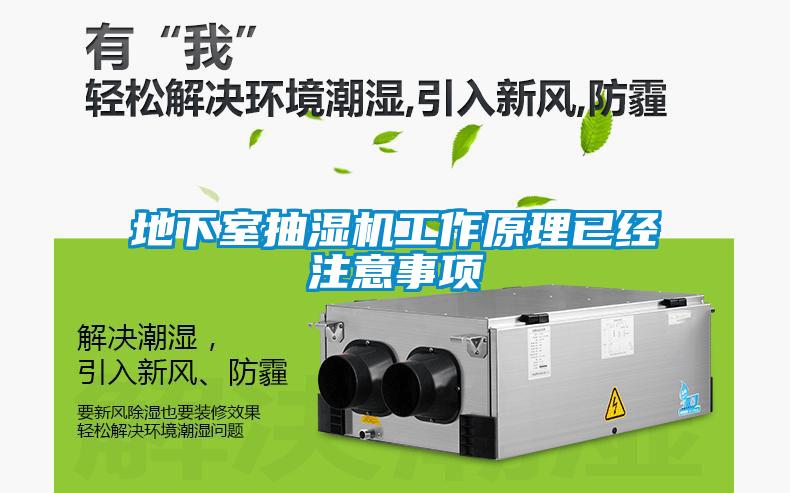 地下室抽濕機(jī)工作原理已經(jīng)注意事項