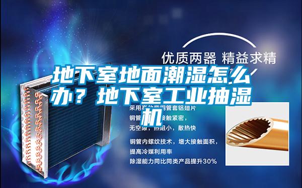 地下室地面潮濕怎么辦？地下室工業(yè)抽濕機(jī)