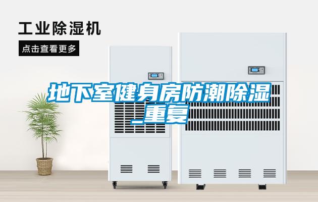 地下室健身房防潮除濕_重復(fù)