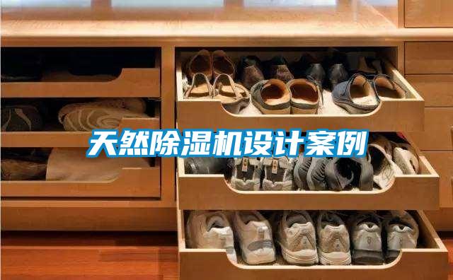 天然除濕機(jī)設(shè)計(jì)案例