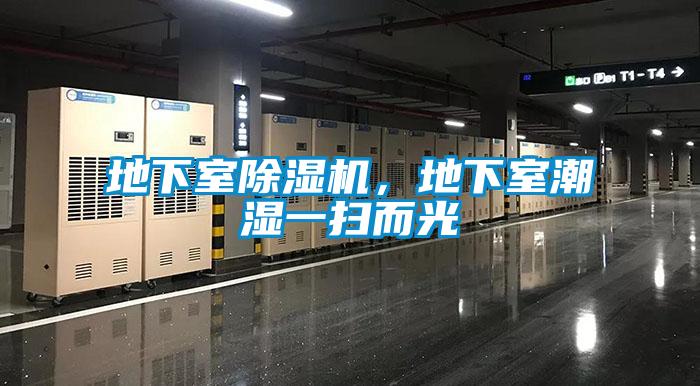 地下室除濕機(jī)，地下室潮濕一掃而光