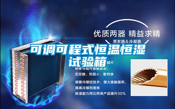 可調(diào)可程式恒溫恒濕試驗(yàn)箱