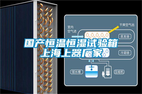 國(guó)產(chǎn)恒溫恒濕試驗(yàn)箱上海上器廠家
