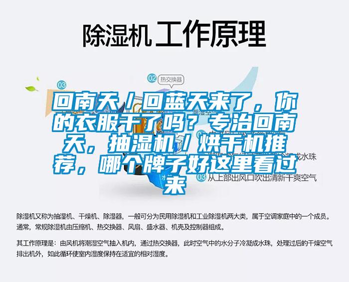 回南天／回藍(lán)天來了，你的衣服干了嗎？專治回南天，抽濕機(jī)／烘干機(jī)推薦，哪個(gè)牌子好這里看過來