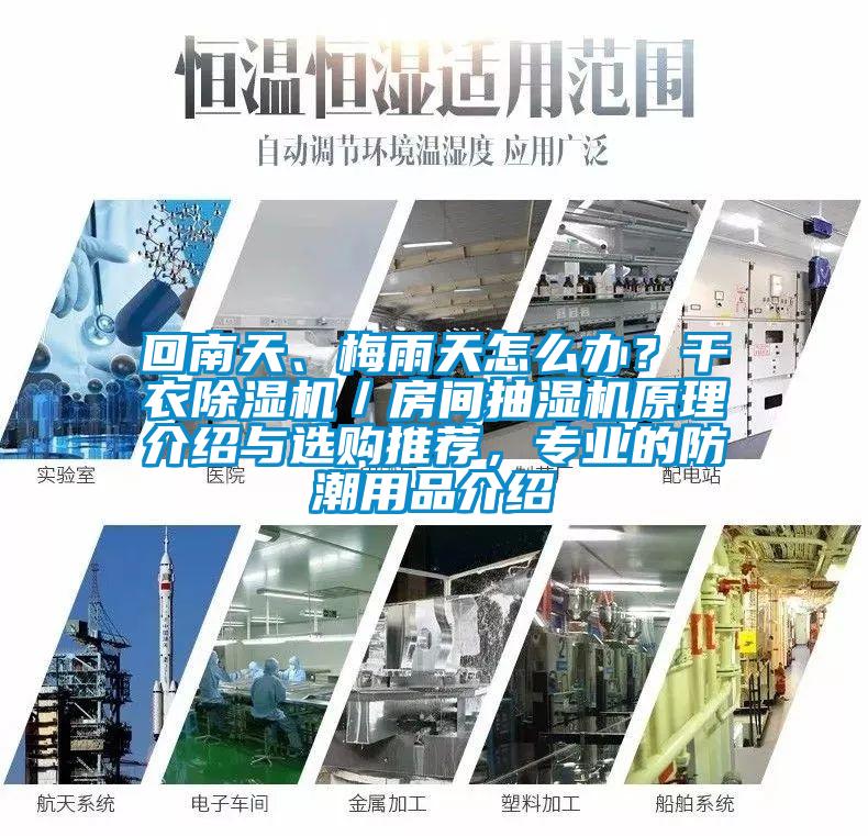 回南天、梅雨天怎么辦？干衣除濕機(jī)／房間抽濕機(jī)原理介紹與選購(gòu)?fù)扑]，專(zhuān)業(yè)的防潮用品介紹