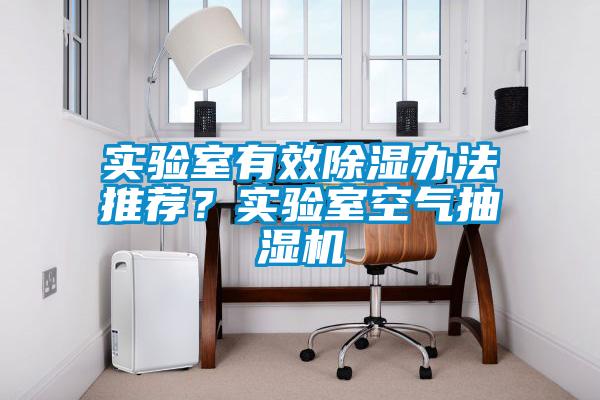 實驗室有效除濕辦法推薦？實驗室空氣抽濕機