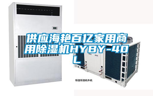 供應(yīng)海艷百億家用商用除濕機(jī)HYBY-40L