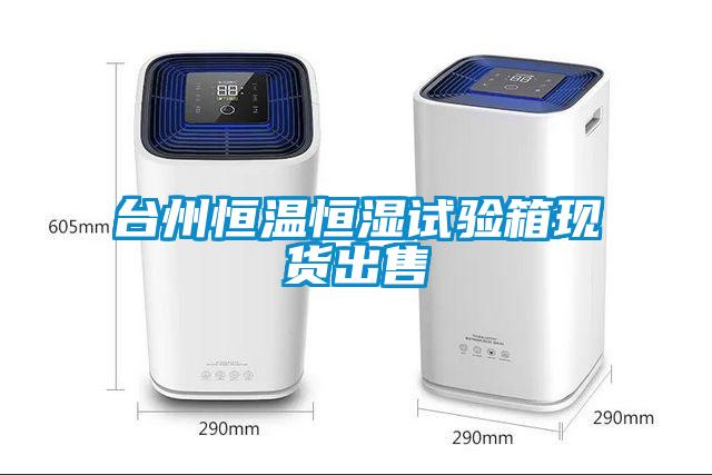 臺(tái)州恒溫恒濕試驗(yàn)箱現(xiàn)貨出售