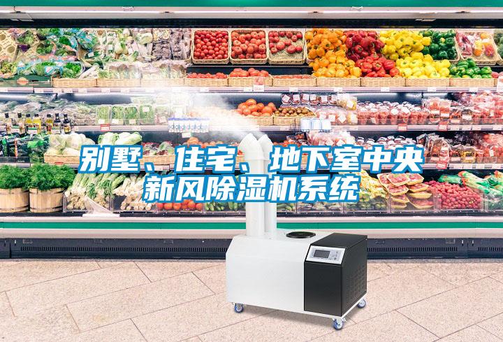 別墅、住宅、地下室中央新風(fēng)除濕機(jī)系統(tǒng)