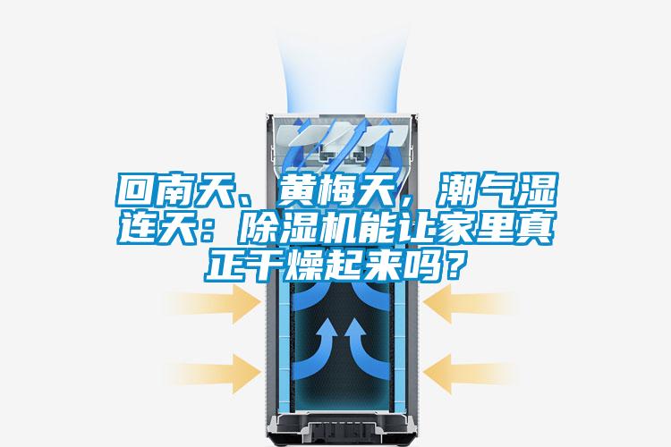 回南天、黃梅天，潮氣濕連天：除濕機能讓家里真正干燥起來嗎？
