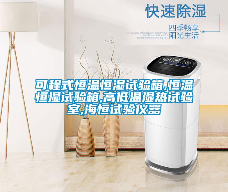 可程式恒溫恒濕試驗箱,恒溫恒濕試驗箱,高低溫濕熱試驗室,海恒試驗儀器