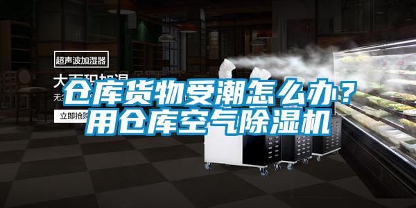 倉(cāng)庫(kù)貨物受潮怎么辦？用倉(cāng)庫(kù)空氣除濕機(jī)