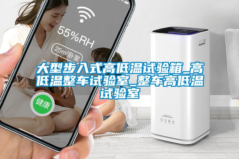 大型步入式高低溫試驗(yàn)箱_高低溫整車試驗(yàn)室_整車高低溫試驗(yàn)室