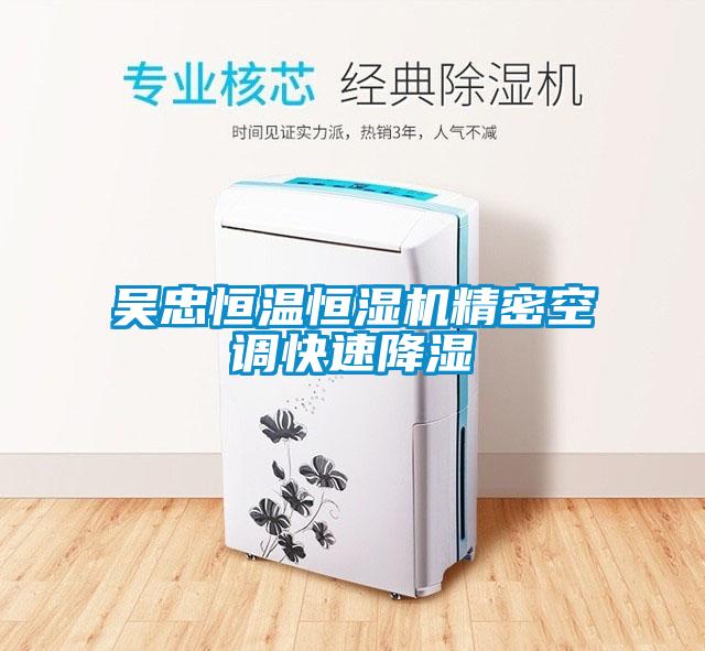吳忠恒溫恒濕機(jī)精密空調(diào)快速降濕