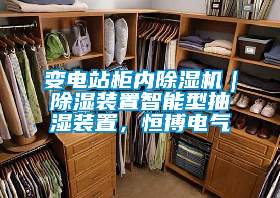 變電站柜內(nèi)除濕機(jī)｜除濕裝置智能型抽濕裝置，恒博電氣