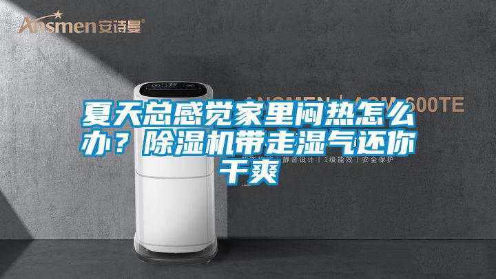 夏天總感覺家里悶熱怎么辦？除濕機帶走濕氣還你干爽