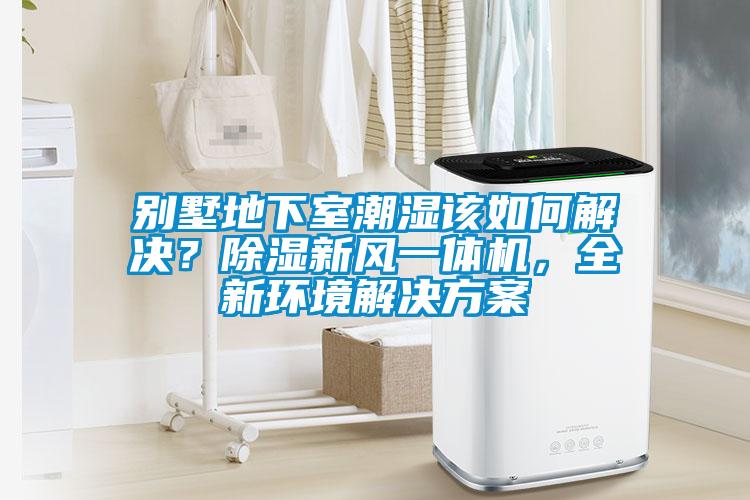 別墅地下室潮濕該如何解決？除濕新風(fēng)一體機(jī)，全新環(huán)境解決方案