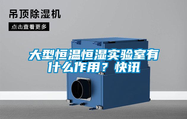 大型恒溫恒濕實驗室有什么作用？快訊