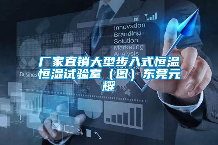 廠家直銷大型步入式恒溫恒濕試驗(yàn)室（圖）東莞元耀