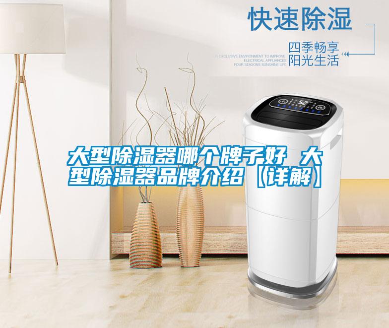 大型除濕器哪個(gè)牌子好 大型除濕器品牌介紹【詳解】
