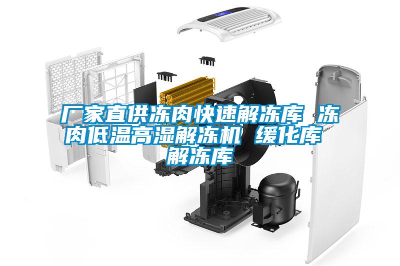 廠家直供凍肉快速解凍庫 凍肉低溫高濕解凍機(jī) 緩化庫 解凍庫