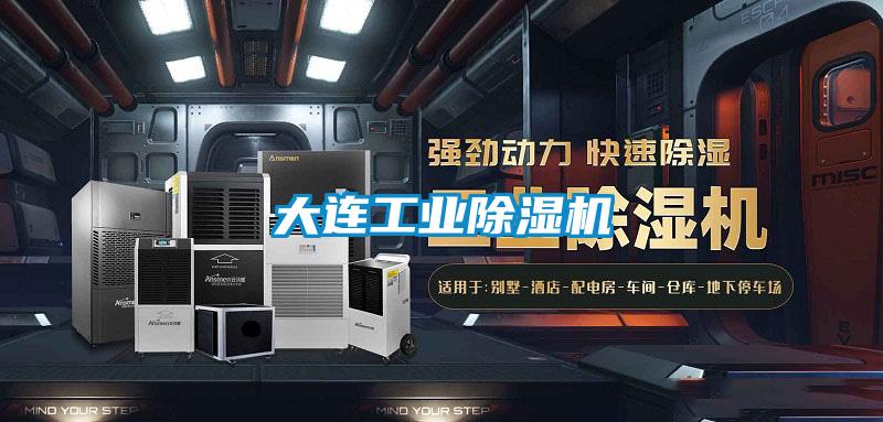 大連工業(yè)除濕機