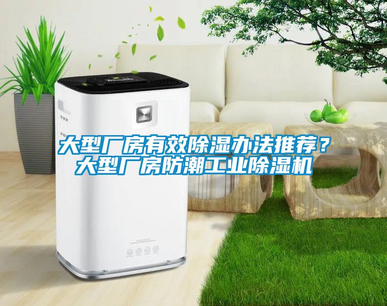 大型廠房有效除濕辦法推薦？大型廠房防潮工業(yè)除濕機(jī)